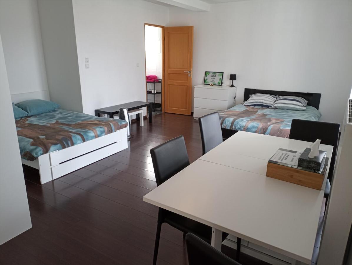 Studio Independant 40M² Avec Jardin Prive Hauteville-Lompnes Luaran gambar